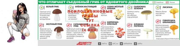 прущие крисы Белоозёрский