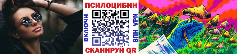 блэк спрут   где продают наркотики  Боровск  Галлюциногенные грибы Psilocybe 
